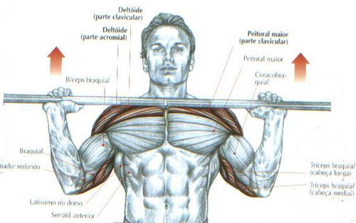 https://www.personaltrainers.com.br/images/exercicios/ombro_desenvolvimento.jpg