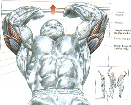 https://www.personaltrainers.com.br/images/exercicios/triceps_testa.jpg