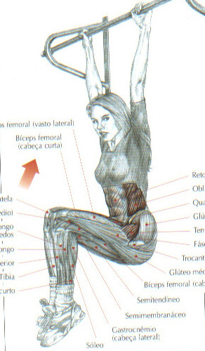 https://www.personaltrainers.com.br/images/exercicios/flexao_quadril.jpg