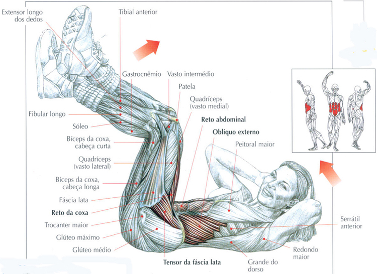 https://www.personaltrainers.com.br/images/exercicios/flexao_tronco.jpg