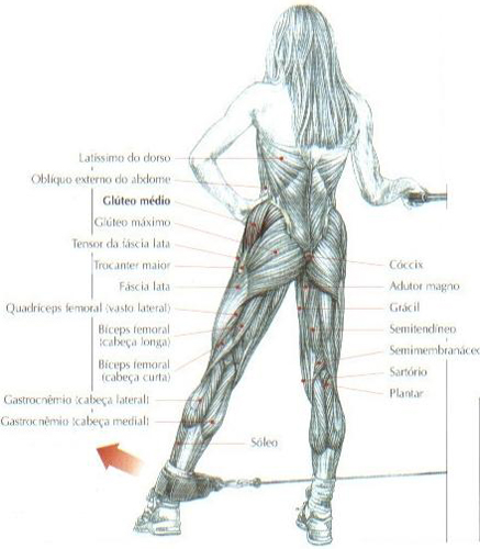 https://www.personaltrainers.com.br/images/exercicios/gluteo_abducaoquadril.jpg