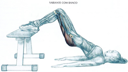 https://www.personaltrainers.com.br/images/exercicios/gluteo_elevapelve.jpg