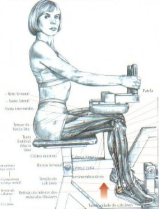 https://www.personaltrainers.com.br/images/exercicios/perna_panturrilhasentada.jpg